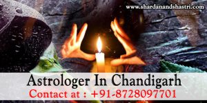 astrologer-in-chandigarh
